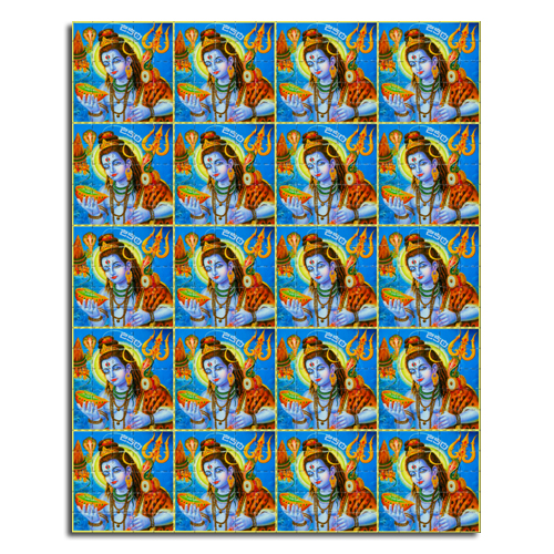 Shiva 250
