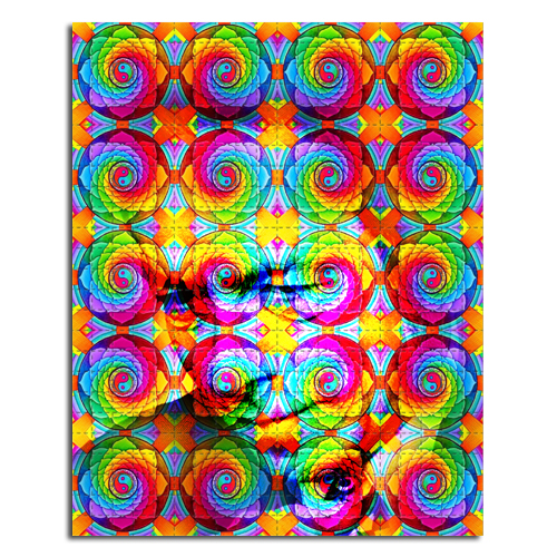 Alan Watts polar